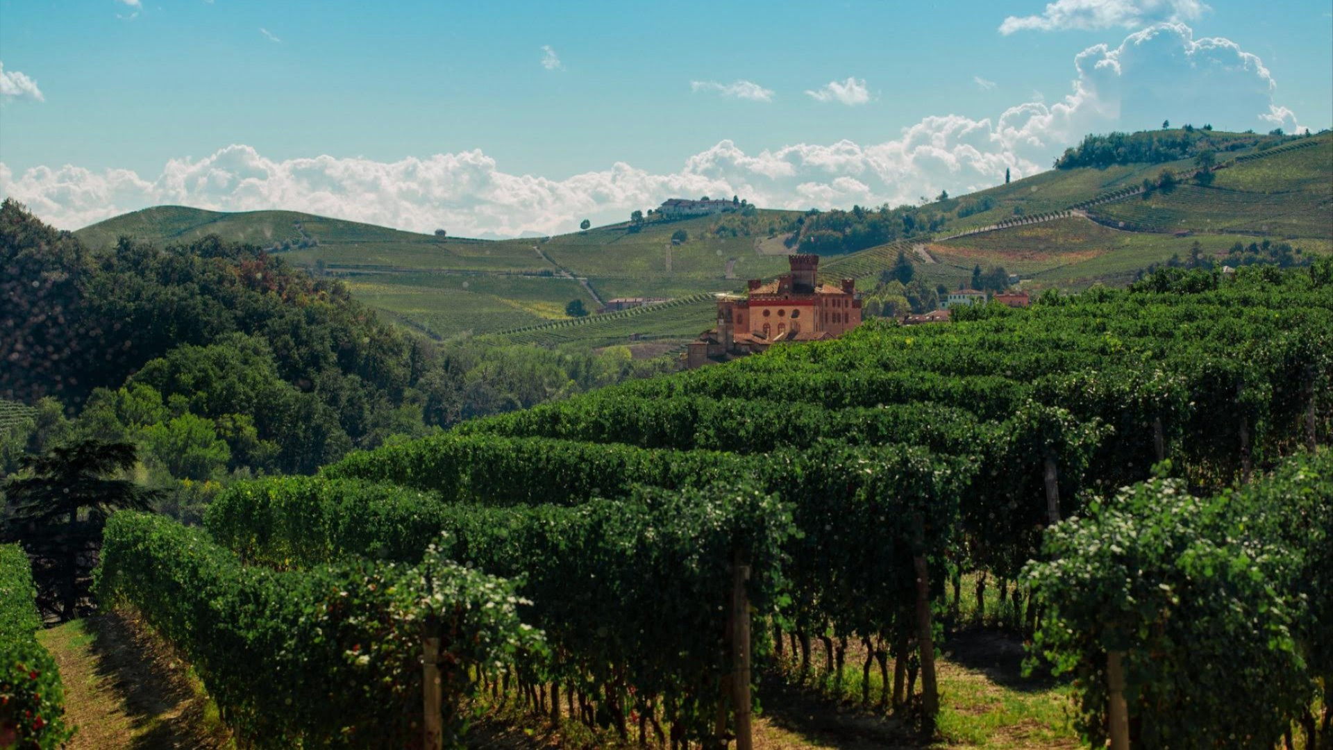 Barolo Cannubi 2018